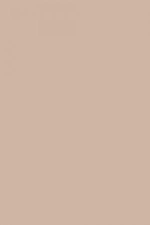 FARROW AND BALL SMOKED TROUT NO. 60 PAINT